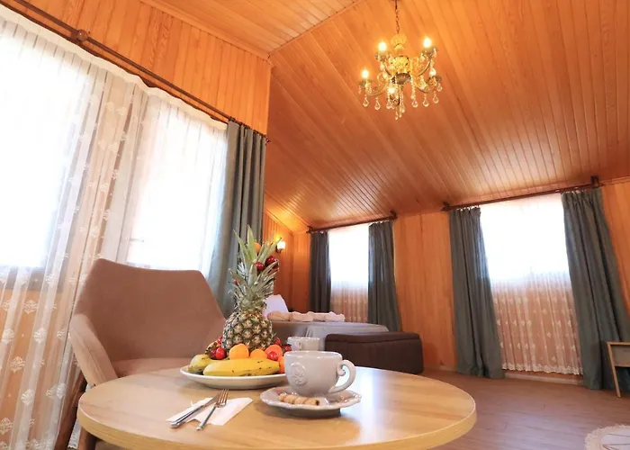 Almircan 特拉布宗