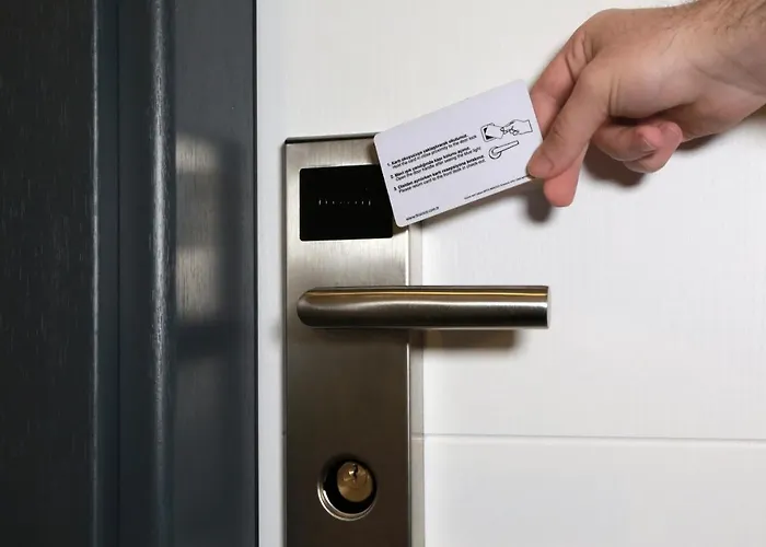 Almircan 特拉布宗