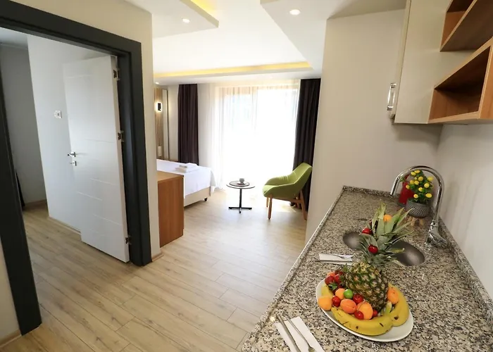 Almircan 特拉布宗