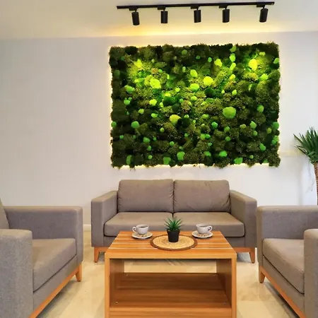 Hotel Almircan